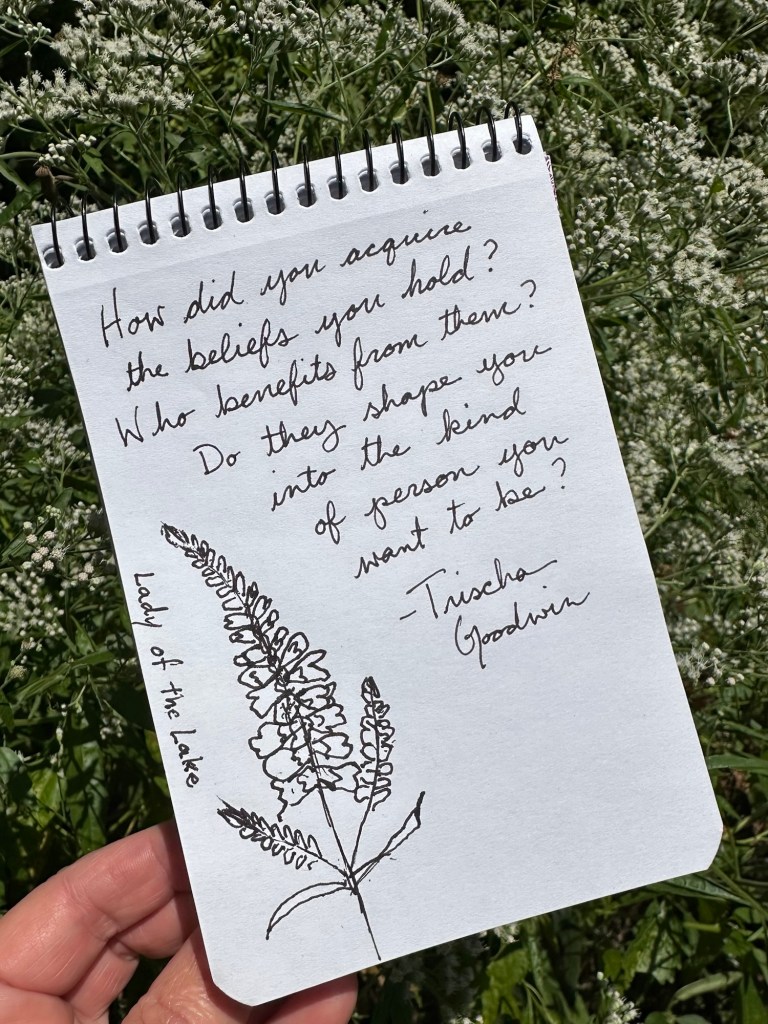 ID: A small notepad held in front of some tiny white flowers with a pen sketch of a lady of the lake flower and a note that reads: "How did you acquire the beliefs you hold? Who benefits from them? Do they shape you into the kind of person you want to be?" - Trischa Goodwin